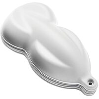 Speed Shapes For Paint Samples 25 x White